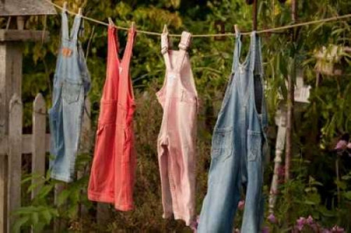 Out to Dry II Poster Print by Philip Clayton-Thompson - Item # VARPDXPSTMP135