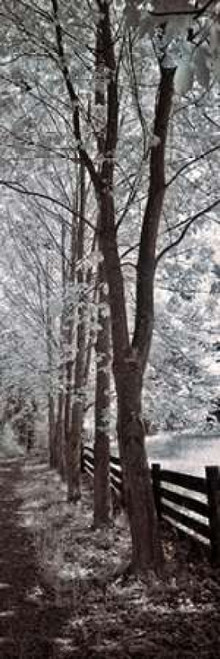 A Walk To Remember II Poster Print by Ily Szilagyi - Item # VARPDXSIP260