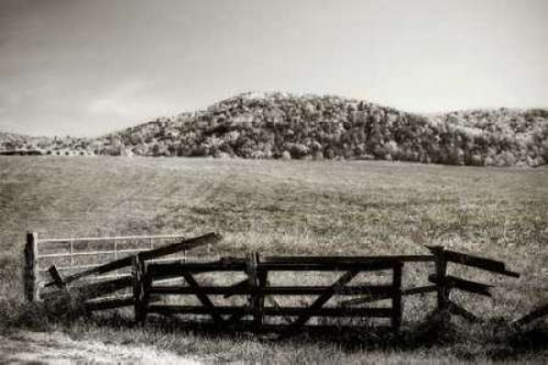 Autumn Pastures IV Poster Print by Alan Hausenflock - Item # VARPDXPSHSF900