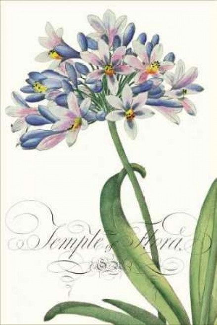 Modern Atelier I Poster Print by Sarah E Chilton - Item # VARPDXCC3043