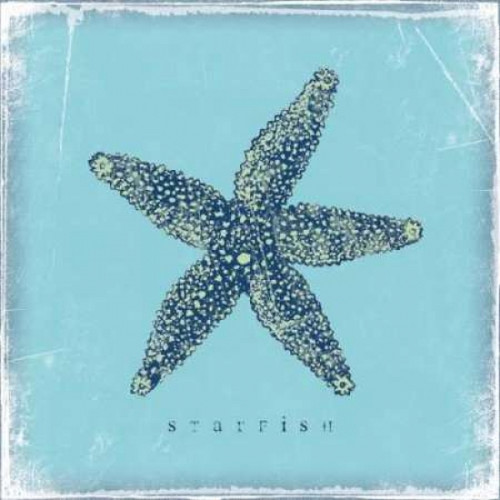 Starfish Poster Print by Stephanie Marrott - Item # VARPDXSM7737