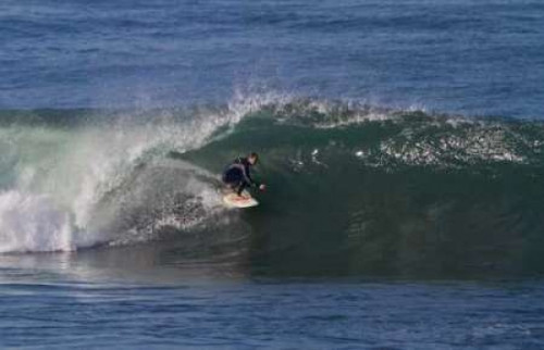 Surfing I Poster Print by Lee Peterson - Item # VARPDXPSPSN201