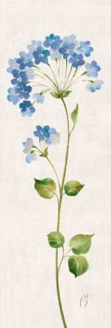 Airy Blues II Poster Print by Pamela Gladding - Item # VARPDXRB9288PG