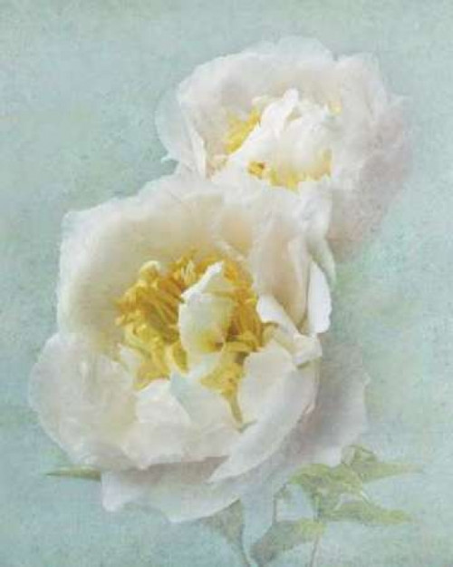 Aqua Floral III Poster Print by Amy Melious - Item # VARPDXMEL439