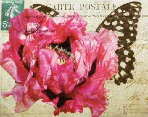 Carte Postale Poppy Poster Print by Amy Melious - Item # VARPDXMEL474