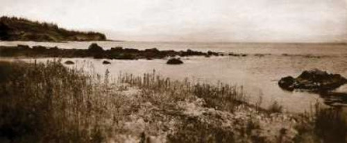 Sepia Island Shores I Poster Print by Amy Melious - Item # VARPDXMEL381