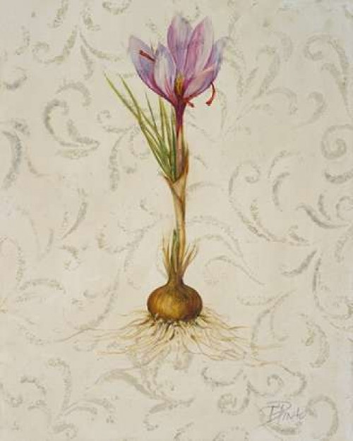 Botanica III Poster Print by Patricia Pinto - Item # VARPDX6191
