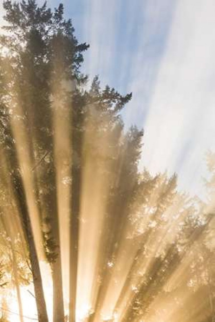 Sunburst II Poster Print by Kathy Mahan - Item # VARPDXPSMHN581