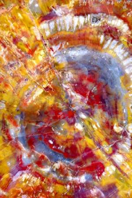 Spiral Galaxy Poster Print by Douglas Taylor - Item # VARPDXPSTLR337