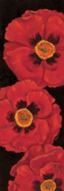 Bella Grande Poppies Poster Print by Paul Brent - Item # VARPDXBNT099