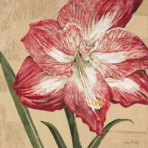 Blooming Wonder I Poster Print by Judy Shelby
