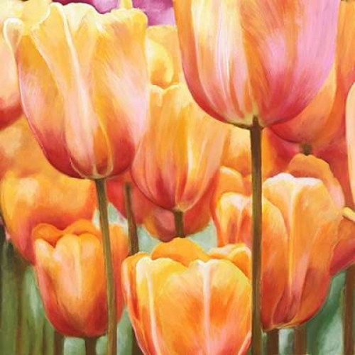 Spring Tulips II Poster Print by Luca Villa - Item # VARPDX1LC509