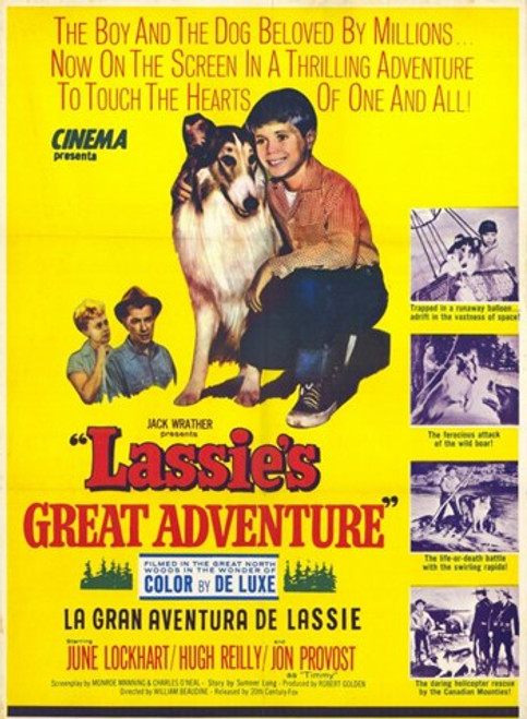 Lassie's Great Adventure Movie Poster (11 x 17) - Item # MOV228242