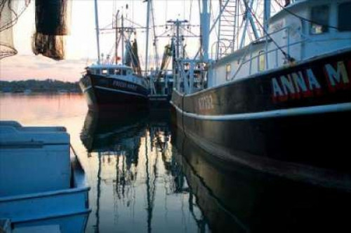 The Fridea Marie II Poster Print by Alan Hausenflock - Item # VARPDXPSHSF222