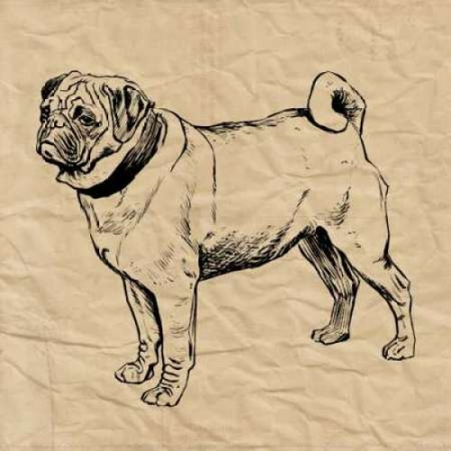 Pug Poster Print by Sabine Berg - Item # VARPDX18206