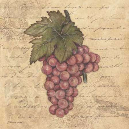 Grapes II Poster Print by Stephanie Marrott - Item # VARPDXSM7733