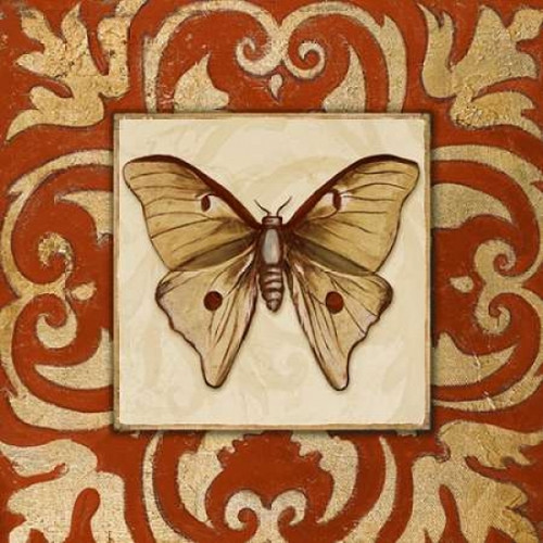 Moroccan Butterfly II Poster Print by Patricia Pinto - Item # VARPDX8425K