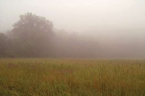 Misty Morning I Poster Print by  Studio 2 - Item # VARPDXSDO128