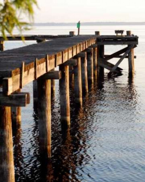 Waterside Beauty II Poster Print by Gail Peck - Item # VARPDX9450G