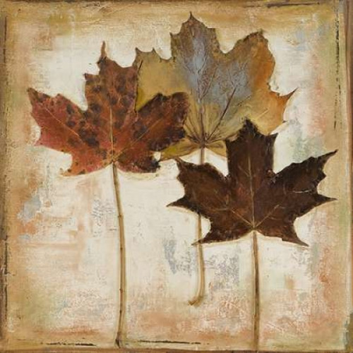 Natural Leaves III Poster Print by Patricia Pinto - Item # VARPDX7888