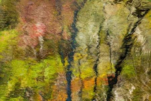 Colorful Reflections II Poster Print by Kathy Mahan - Item # VARPDXPSMHN543