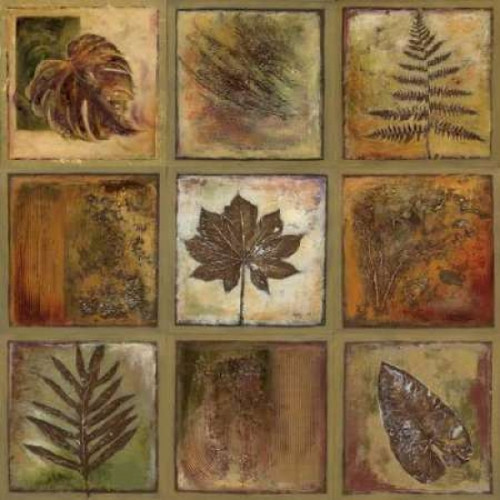Leaf Square I Poster Print by Patricia Pinto - Item # VARPDX6301