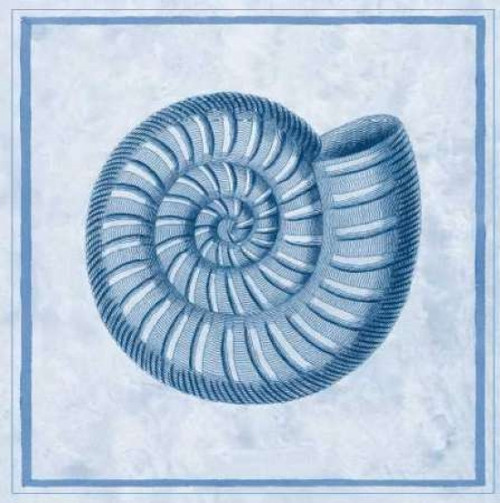 Blue Nautilus A Poster Print by Sarah E Chilton - Item # VARPDXCC2493A Blue Nautilus A Poster Print by Sarah E Chilton - Item # VARPDXCC2493A