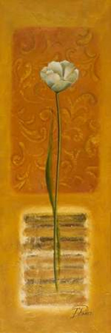 Metamorphosis II Poster Print by Patricia Pinto - Item # VARPDX6188