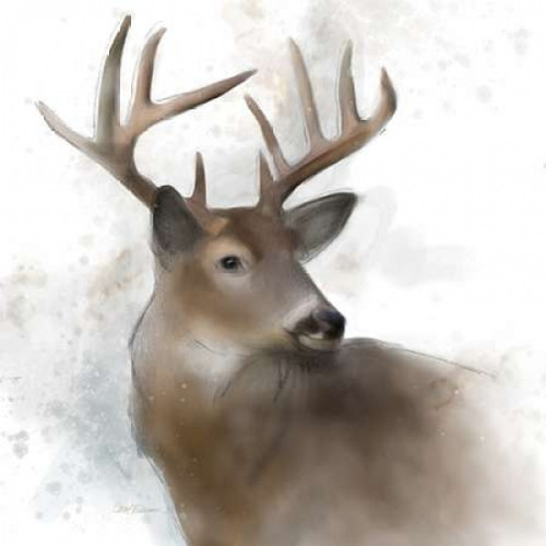 Rainsoft Deer Poster Print by  Carol Robinson
