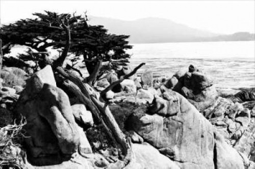 Ocean Cliff II Poster Print by Alan Hausenflock - Item # VARPDXPSHSF304