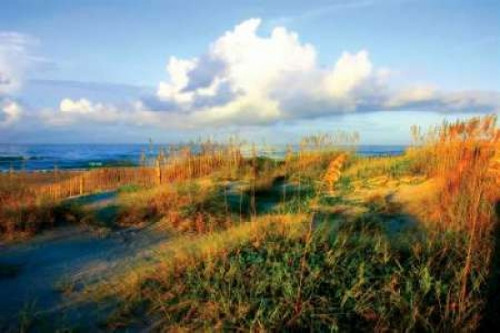 Dunes II Poster Print by Alan Hausenflock - Item # VARPDXPSHSF205