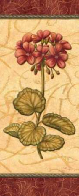 Red Passion Geranium Poster Print by Charlene Audrey - Item # VARPDXAUD095
