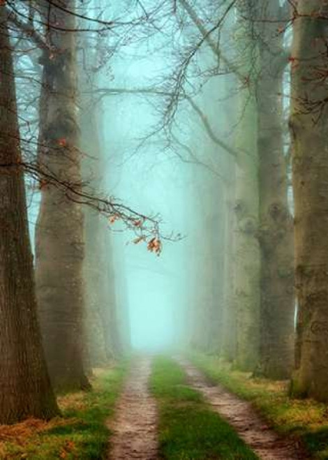 Blue Mist Poster Print by  Lars Van de Goor - Item # VARPDXV602D