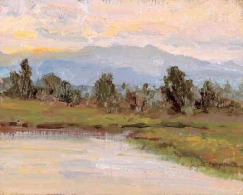 Jewels of the Wetlands Series One Poster Print by Brigitte Curt - Item # VARPDXCBP209E