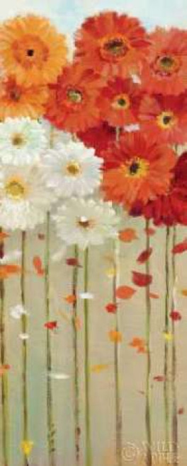 Daisies Fall II Poster Print by Danhui Nai - Item # VARPDX6237