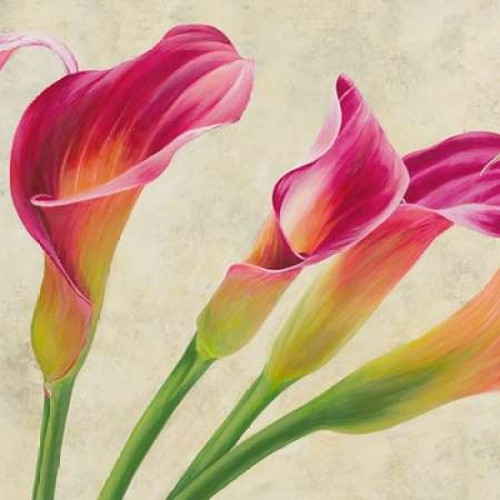 Calla parade Poster Print by Luca Villa - Item # VARPDX1LC1364