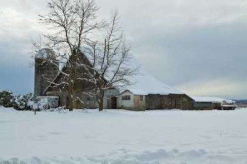 Winter Farm Poster Print by Dana Styber - Item # VARPDXPSSTY151