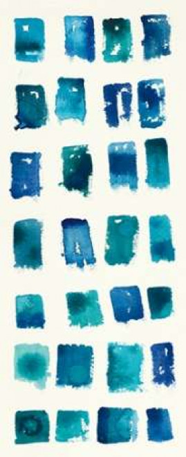 Pas Parfait V Poster Print by Shirley Novak - Item # VARPDX22775