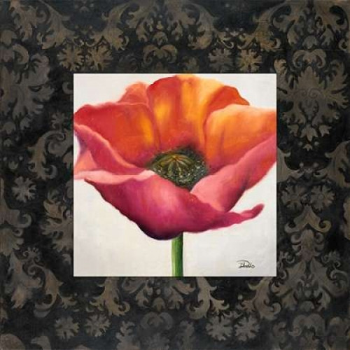 Poppy Flower I Poster Print by Patricia Pinto - Item # VARPDX6069