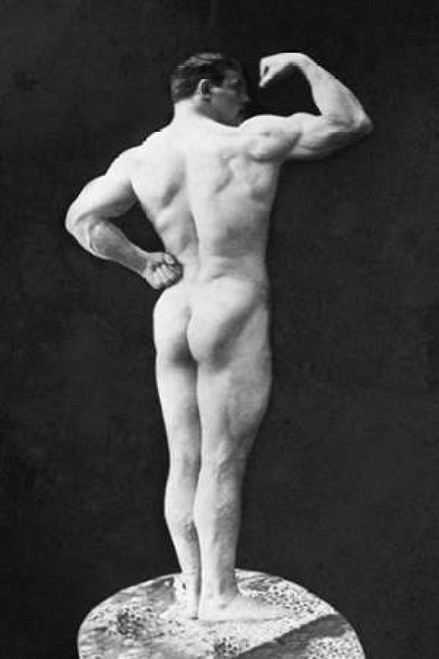 Statuesque Back and Arm Curl Poster Print by Vintage Muscle Men - Item # VARPDX379451