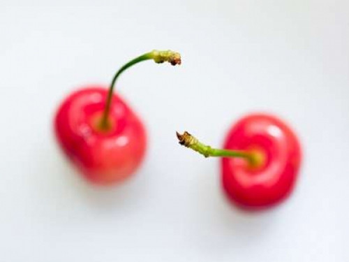 Close-up of cherries Poster Print by  Assaf Frank