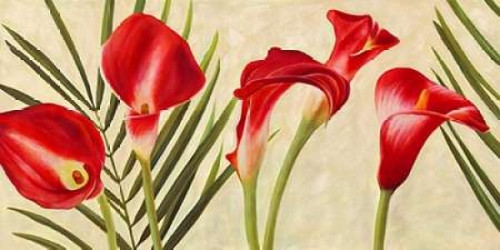 Red Callas Poster Print by Jenny Thomlinson - Item # VARPDX2JT784