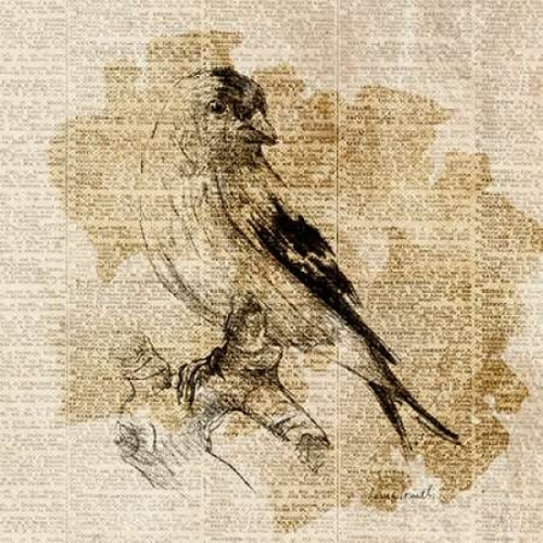 Bird Study III Poster Print by Lanie Loreth - Item # VARPDX9551M