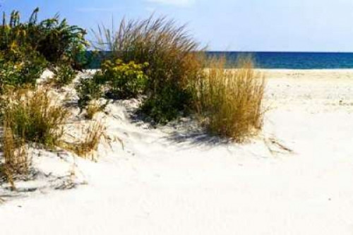 Assateague Beach VII Poster Print by Alan Hausenflock - Item # VARPDXPSHSF493