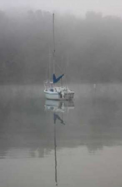 Blue Sail Poster Print by Tammy Putman - Item # VARPDXPSPTM195