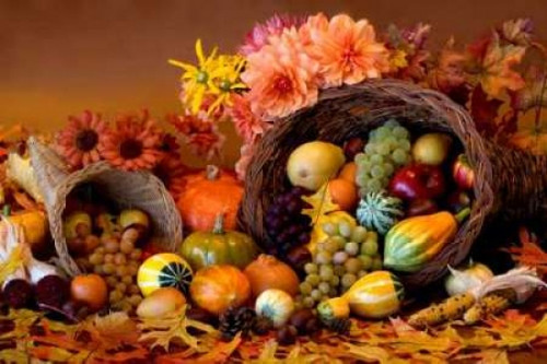 Cornucopia II Poster Print by Kathy Mahan - Item # VARPDXPSMHN212