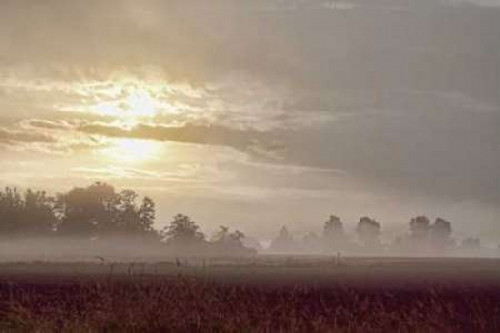 Foggy Morning I Poster Print by Dana Styber - Item # VARPDXPSSTY256
