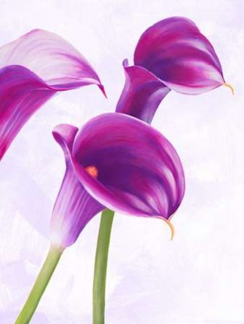 Duet II Poster Print by Luca Villa - Item # VARPDX3LC796