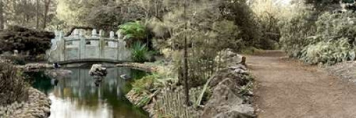 Golden Gate Park - 11 Poster Print by Alan Blaustein - Item # VARPDXABSFH29