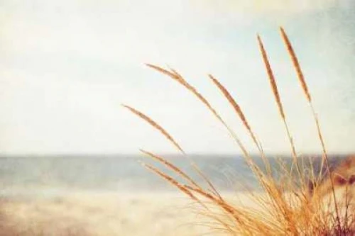 Warm Breeze Poster Print by Carolyn Cochrane - Item # VARPDXC855D